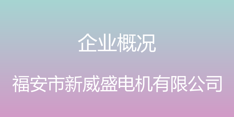 企业概况 - 福安市新威盛电机有限公司